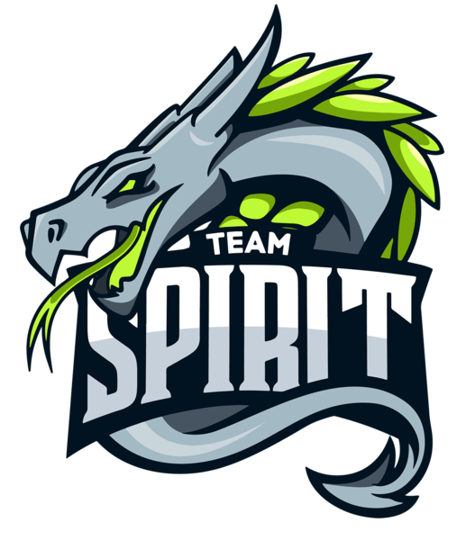 File:Team Spirit.png